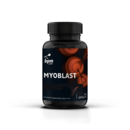 Myoblast