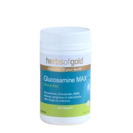 Glucosamine Max 90 Tab