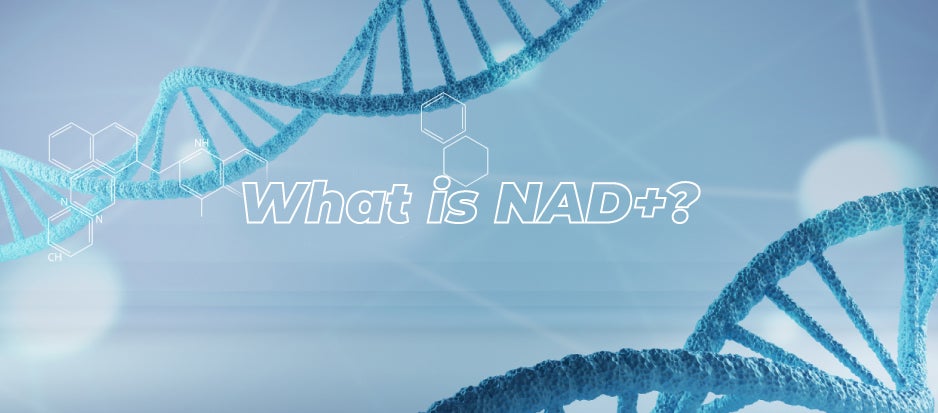 image of dna with text overlay