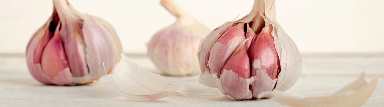 Three bulbs of white and pink garlic sitting on the bench.