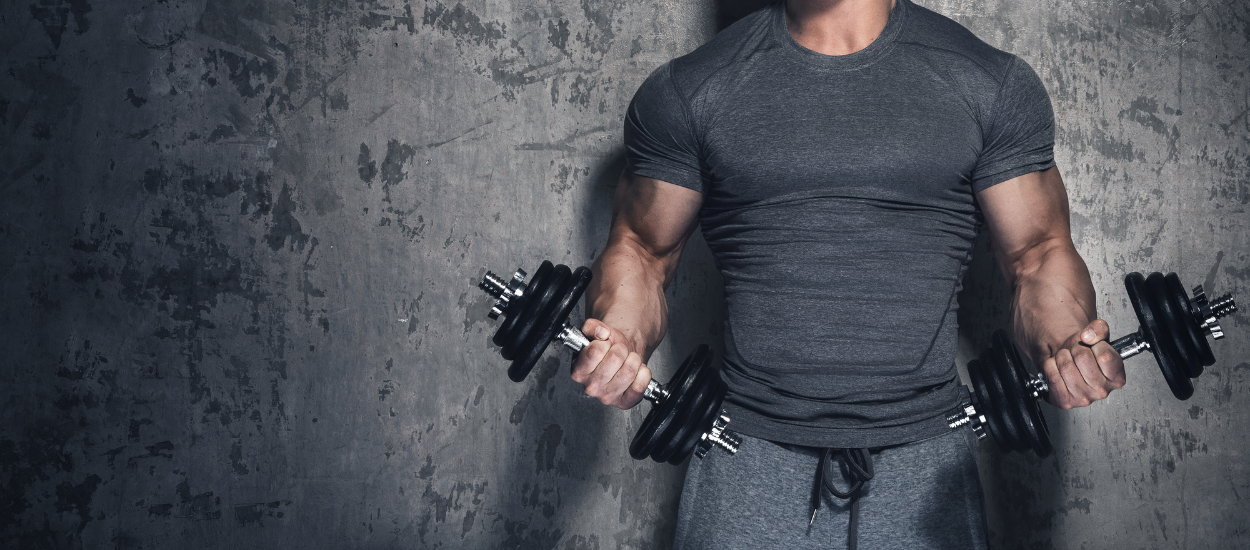 mass gainer proteins to build muscle mass